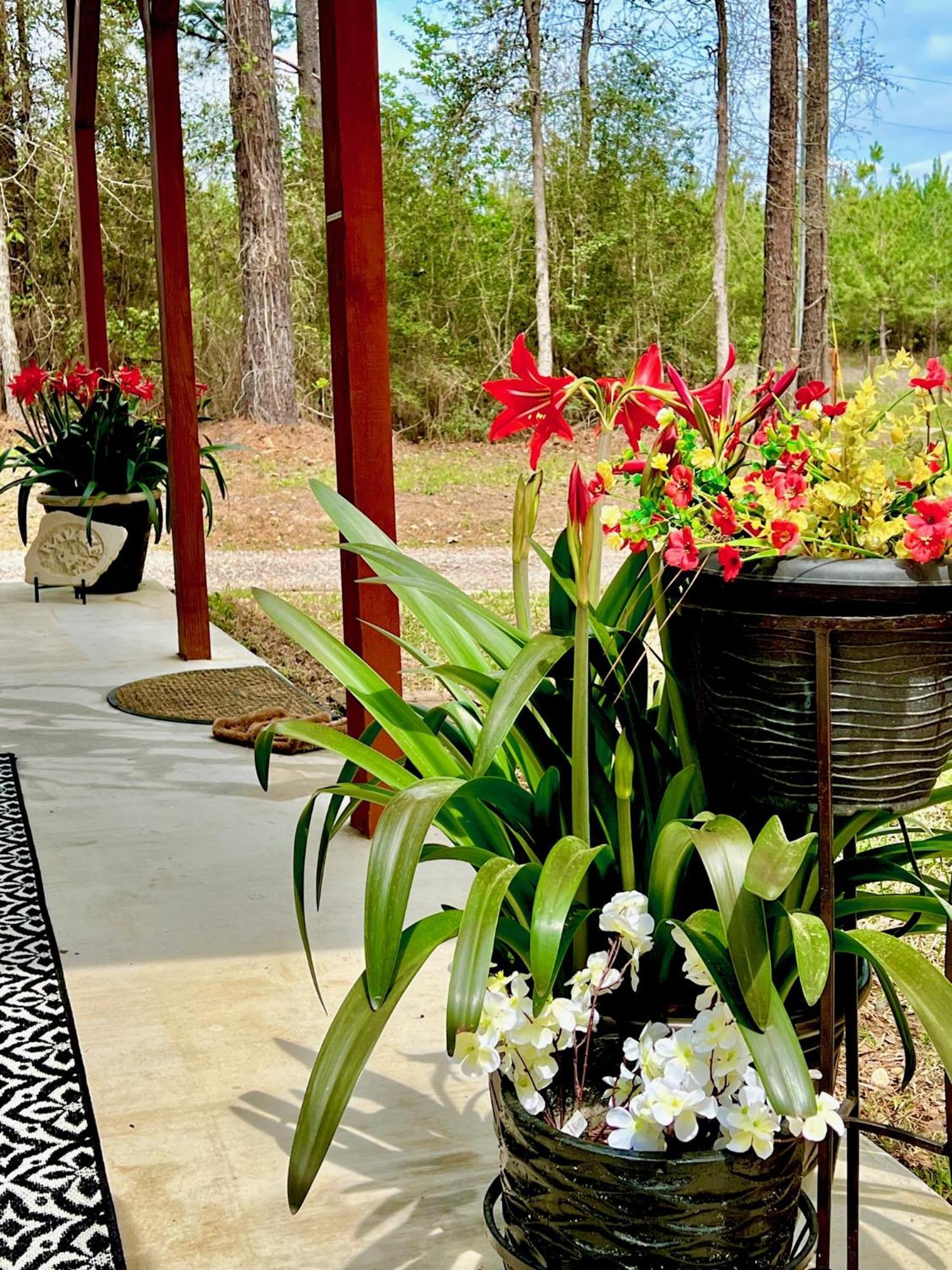 A Tranquil Retreat Loaded With Ambiance! Sleeps 10 Vila Platt Exterior foto